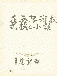 在无限游戏里花式挨c小说封面
