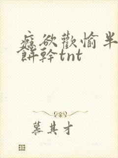 瘾欲欢愉半块小饼干tnt