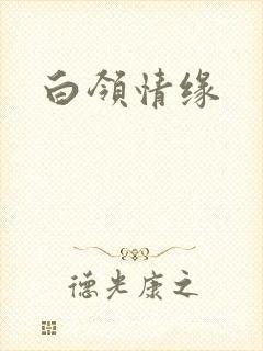 白领情缘封面