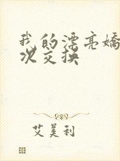 我的漂亮娇妻初次交换