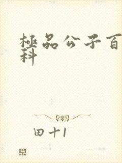 极品公子百度百科