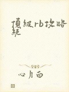 顶级rb攻略系统