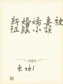 新婚娇妻被巨茎征服小说封面