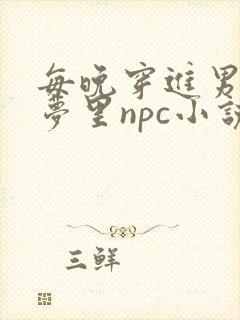 每晚穿进男神的梦里npc小说