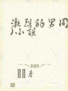 激烈的男同(h)小说