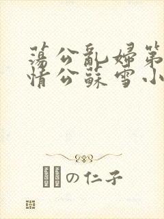 荡公乱妇第1章情公苏雪小说