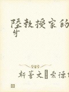 陆教授家的小月牙