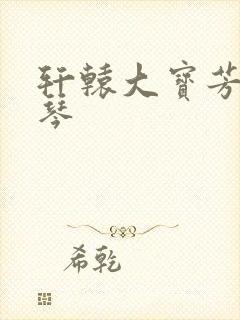 轩辕大宝芳菲雅琴