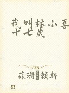 我叫林小喜今年十七岁封面