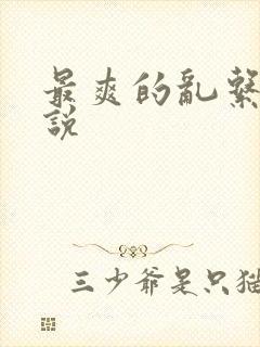 最爽的乱系列小说