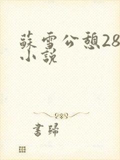 苏雪公憩28篇小说封面