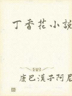 丁香花小说