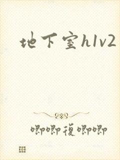地下室h1v2封面
