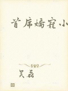 首席娇宠小情人