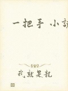 一把手 小说