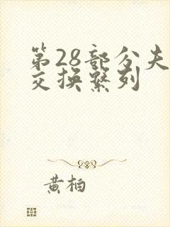 第28部分夫妇交换系列封面