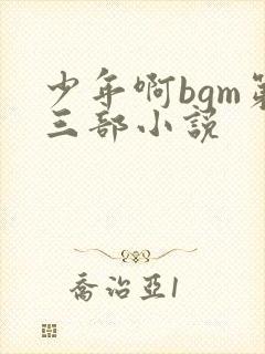少年啊bgm第三部小说