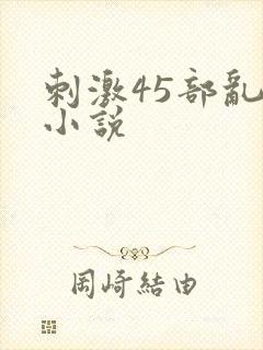 刺激45部乱亲小说封面