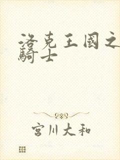 洛克王国之圣龙骑士封面