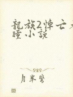 龙族2悼亡者之瞳小说