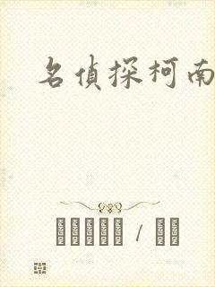 名侦探柯南h封面