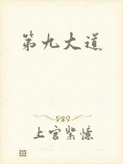 第九大道封面