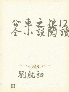 公车之狼12集全小说阅读