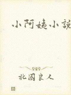 小阿姨小说封面