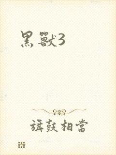 黑兽3