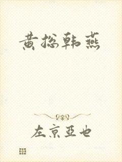 黄总韩燕封面