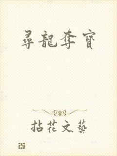 寻龙夺宝