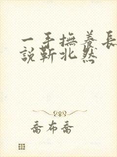 一手抚养长大小说靳北然封面