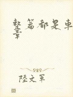 整篇都是车的文章