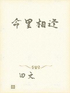 命里相逢