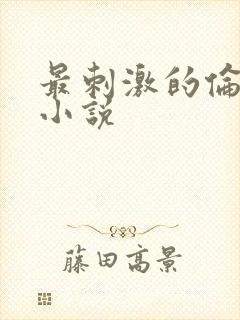 最刺激的伦子伦小说封面