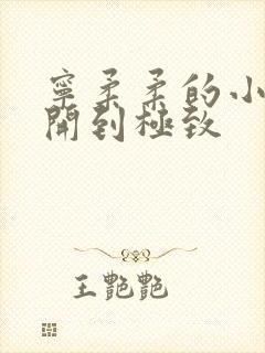 宁柔柔的小泬撑开到极致