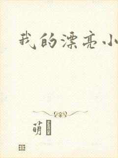 我的漂亮小后妈