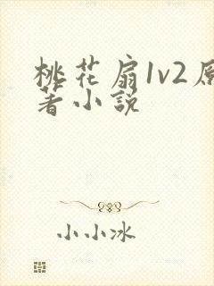 桃花扇1v2原著小说封面