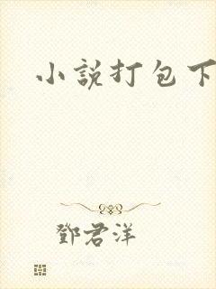 小说打包下载