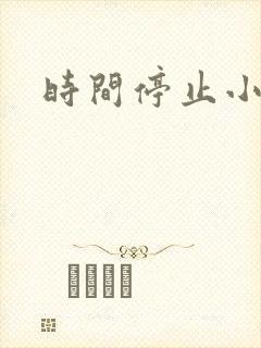 时间停止小说