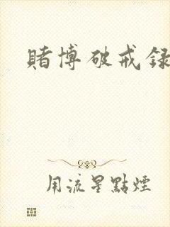 赌博破戒录封面