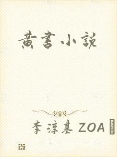 黄书小说