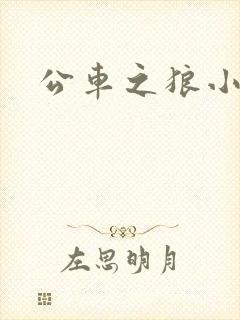 公车之狼小说