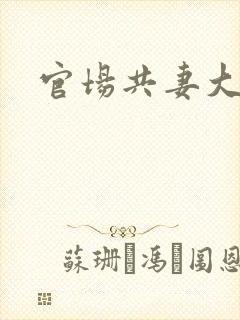 官场共妻大交换