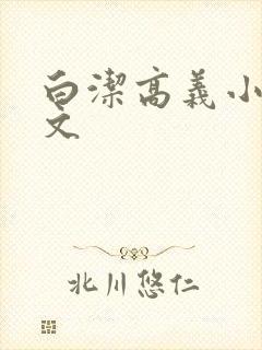 白洁高义小说全文