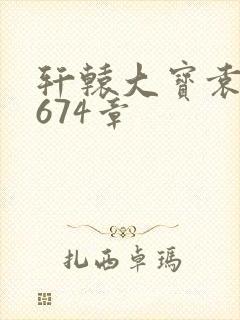 轩辕大宝袁雪妃674章