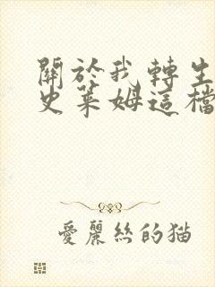 关于我转生变成史莱姆这档事小说