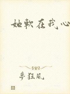 她软在我心上封面