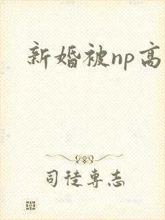 新婚被np高h