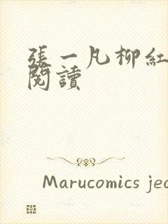 张一凡柳红免费阅读